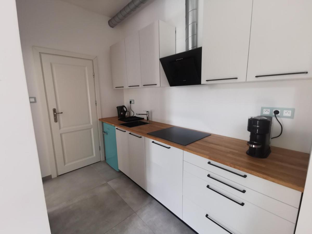 Nowe Apartamenty Zamkowa Vis A Vis Wawelu Krakov Exteriér fotografie